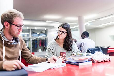 Foto: Studierende an Arbeitstischen bei gemeinsamer Studienarbeit