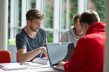 Foto: Studierende lernen gemeinsam