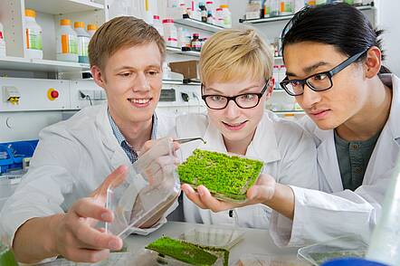 Foto: Studierende untersuchen ihre Testergebnisse.