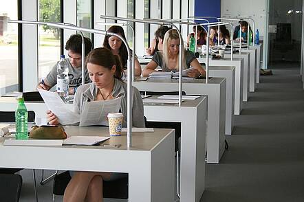 Foto: Studierende lernen in der Biblikothek