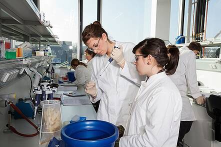 Foto: Zwei Studentinnen der Hochschule Biberach pipettieren eine Flüßigkeit