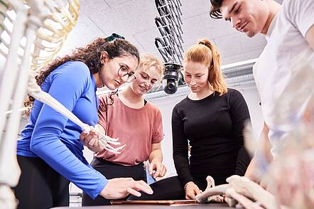 Foto: Drei Studentinnen und ein Student des Bereichs Physiotherapie studieren die Knochen eines Skeletts